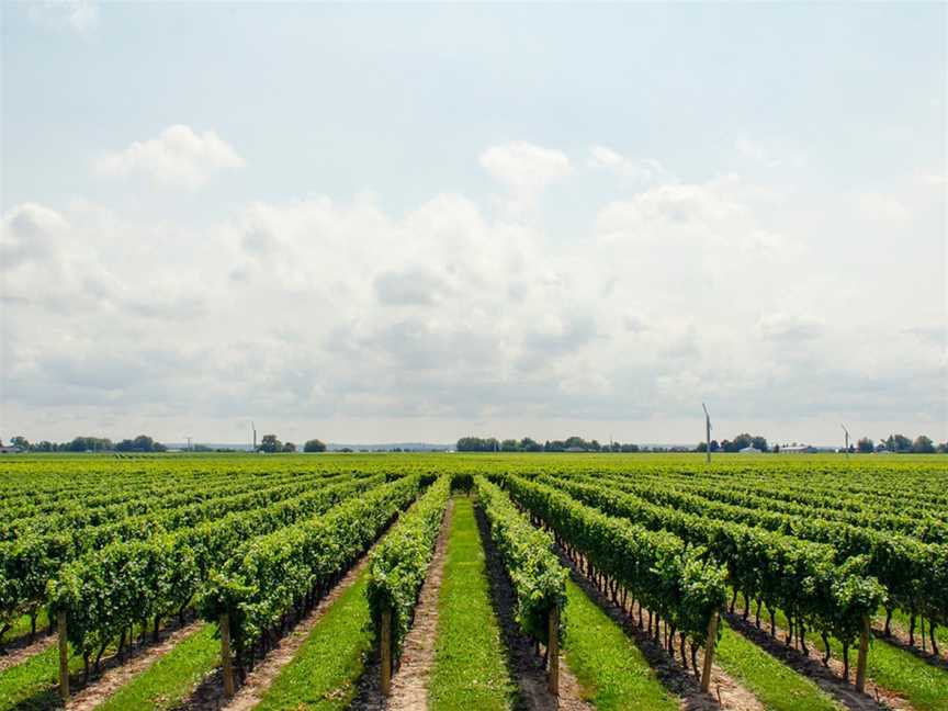 Whistle Post Cellar Door, Wineries in Coonawarra