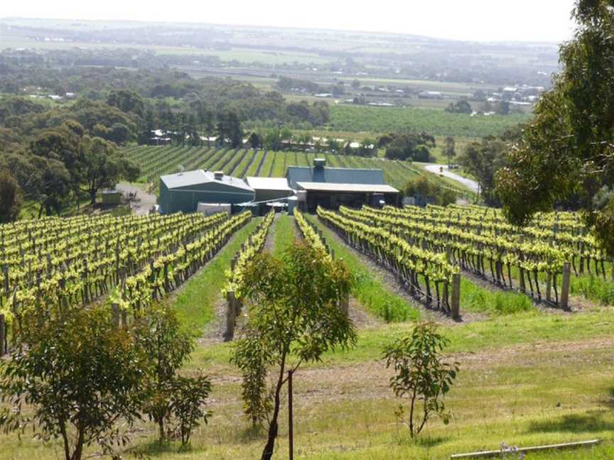 Willunga Creek Wines, Wineries in Willunga