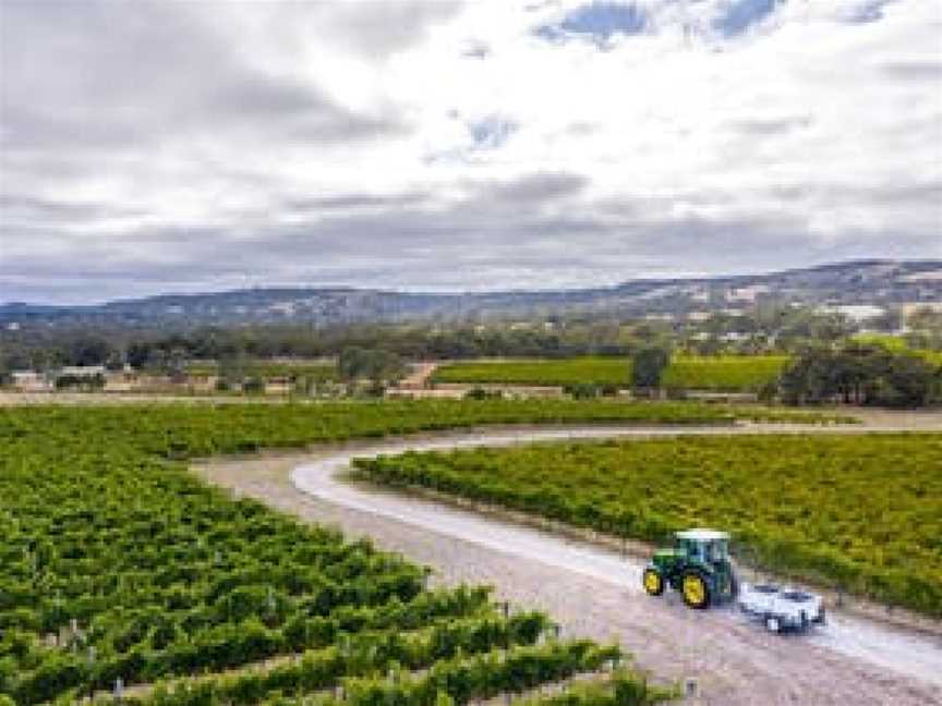 Yangarra Estate Vineyard, Kangarilla, South Australia