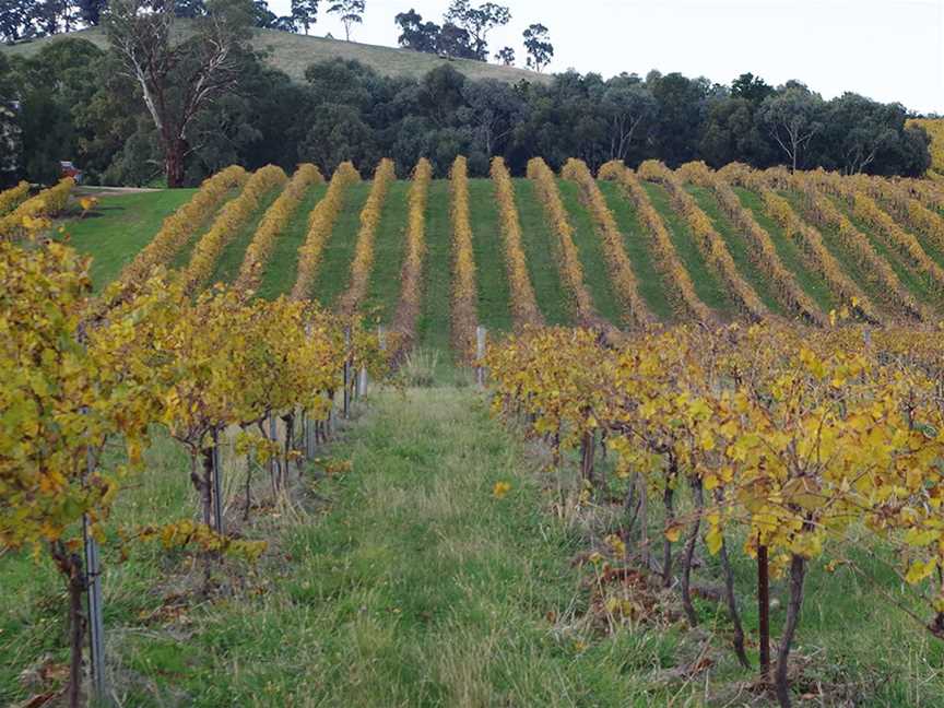 The Bridge Vineyard, Wineries in Heathcote