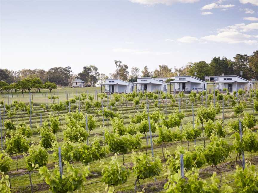 Ridgemill Estate, Wineries in Severnlea