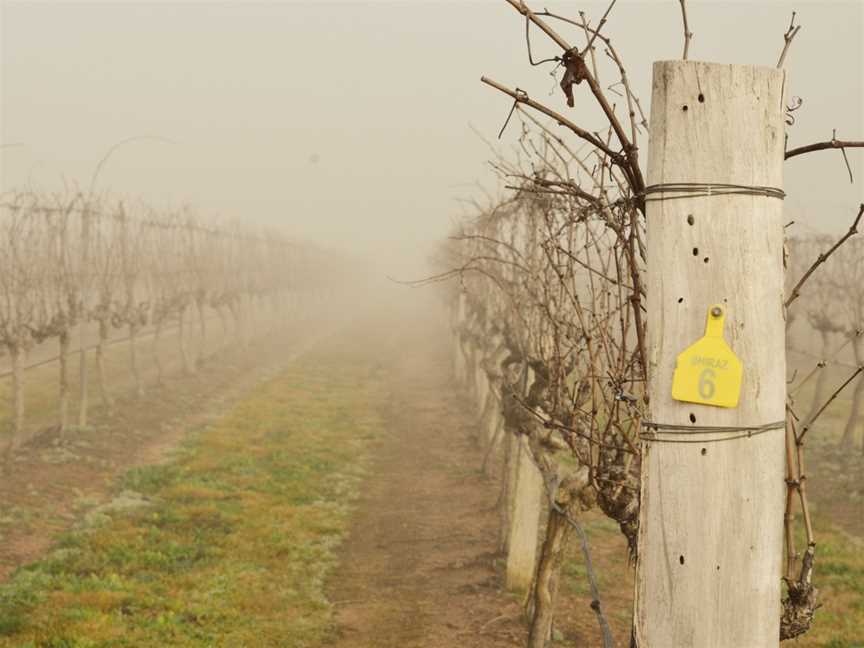 Tobin Wines, Ballandean, Queensland