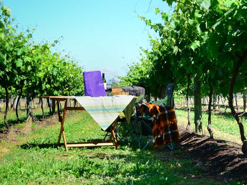 Barham Vines, Barham, New South Wales