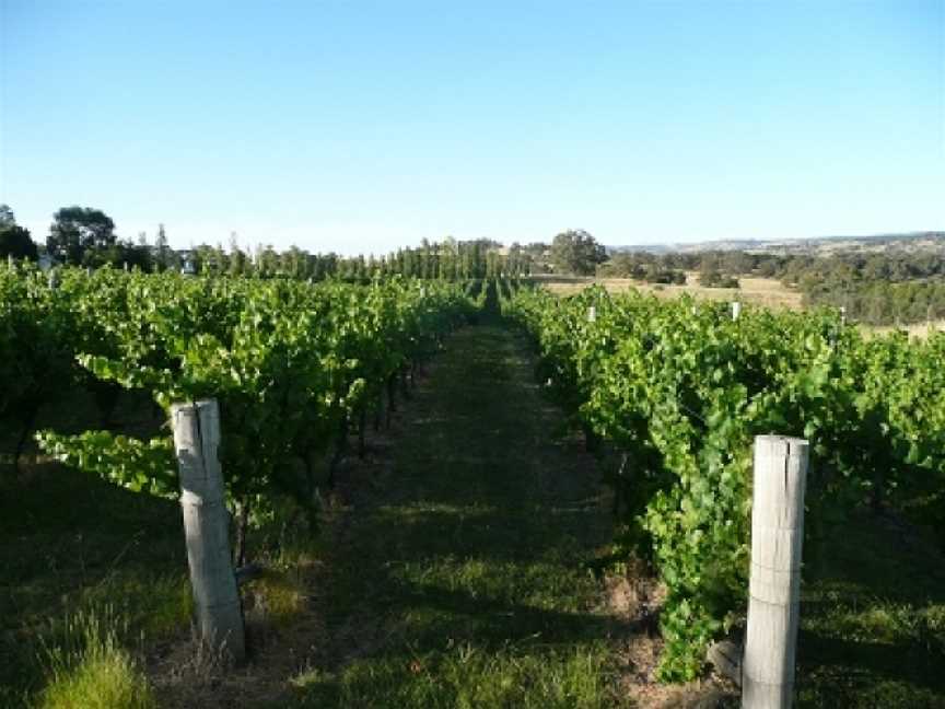 Bloodwood, Wineries in Orange