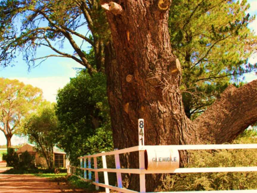 Byrne Farm, Nashdale, New South Wales