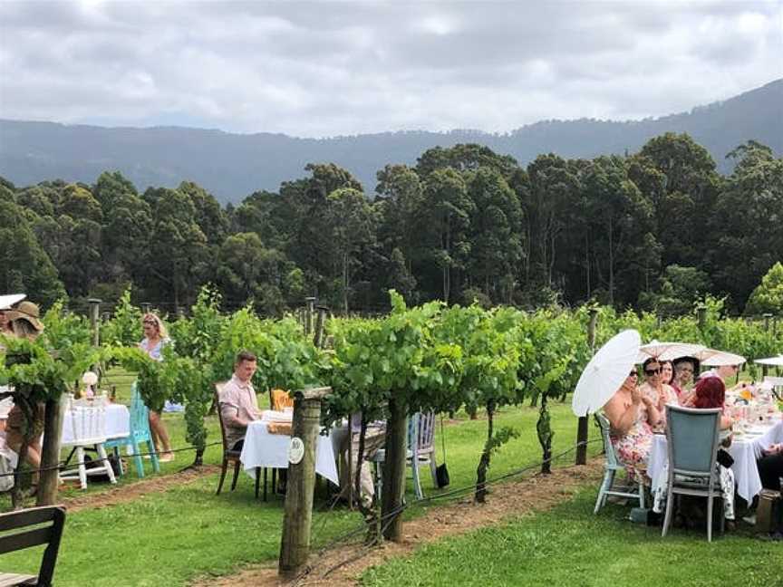 Cambewarra Estate Winery, Wineries in Bangalee