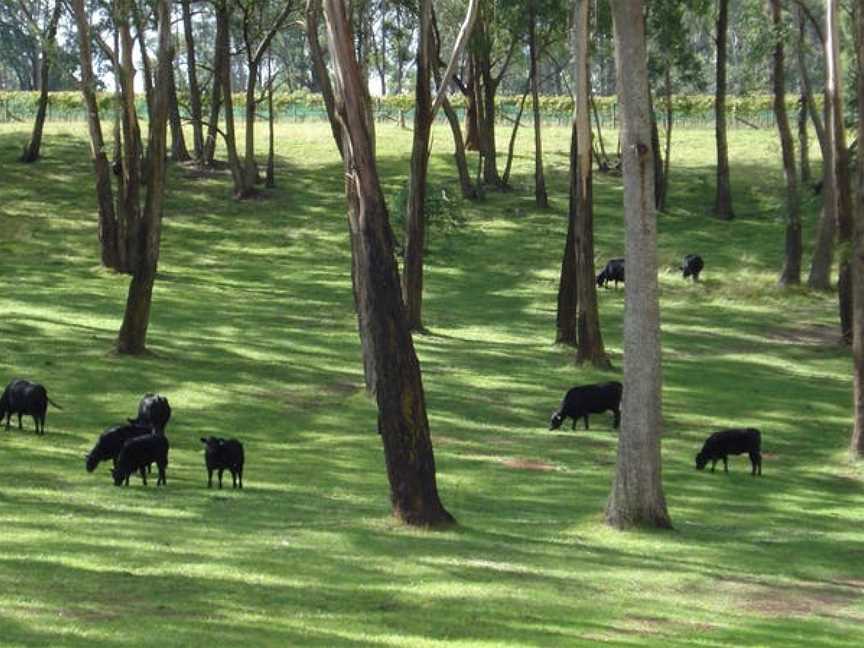 Centennial Vineyards, Bowral, New South Wales