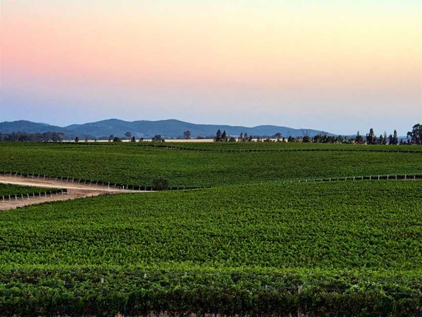 Cumulus Vineyards, Molong, New South Wales