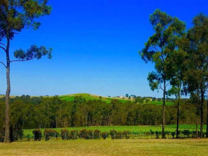 DEGEN, Wineries in Pokolbin