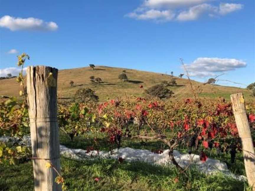 Dionysus Winery, Wineries in Murrumbateman