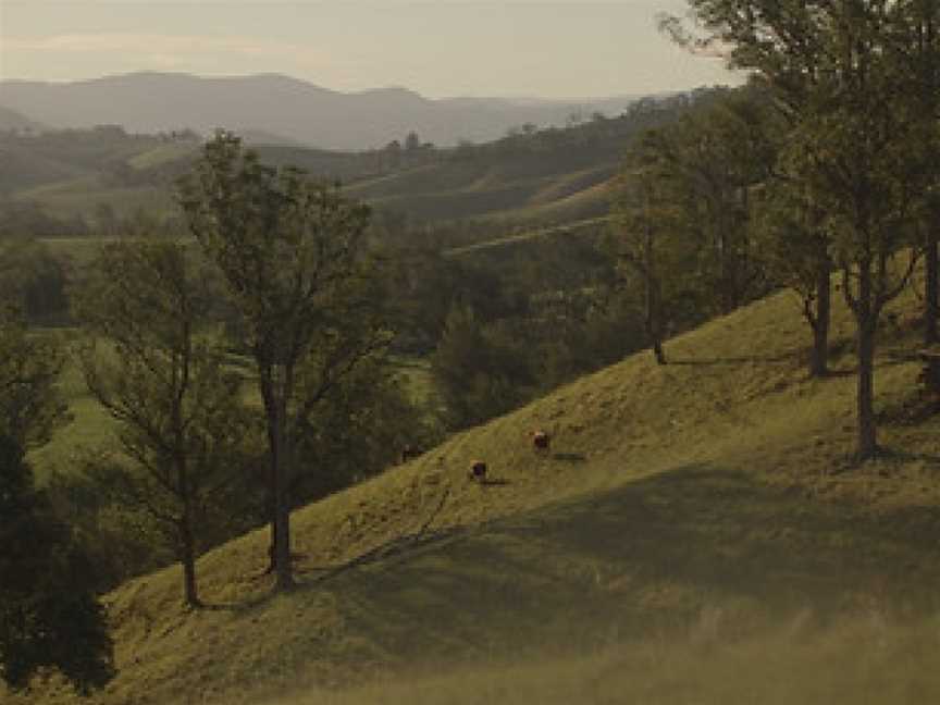 Faulls Ridge Winery, Gloucester, New South Wales