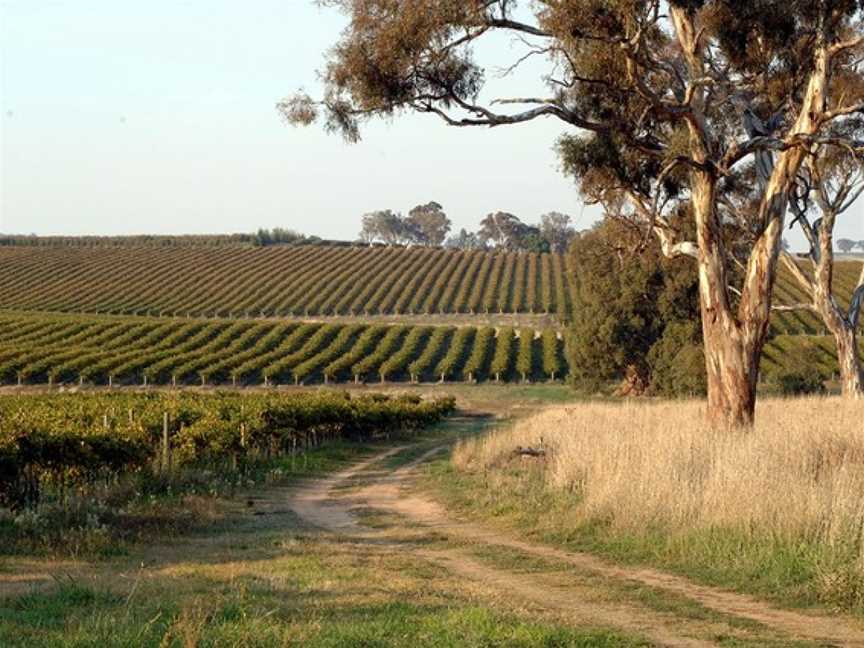 First Creek Wines, Pokolbin, New South Wales