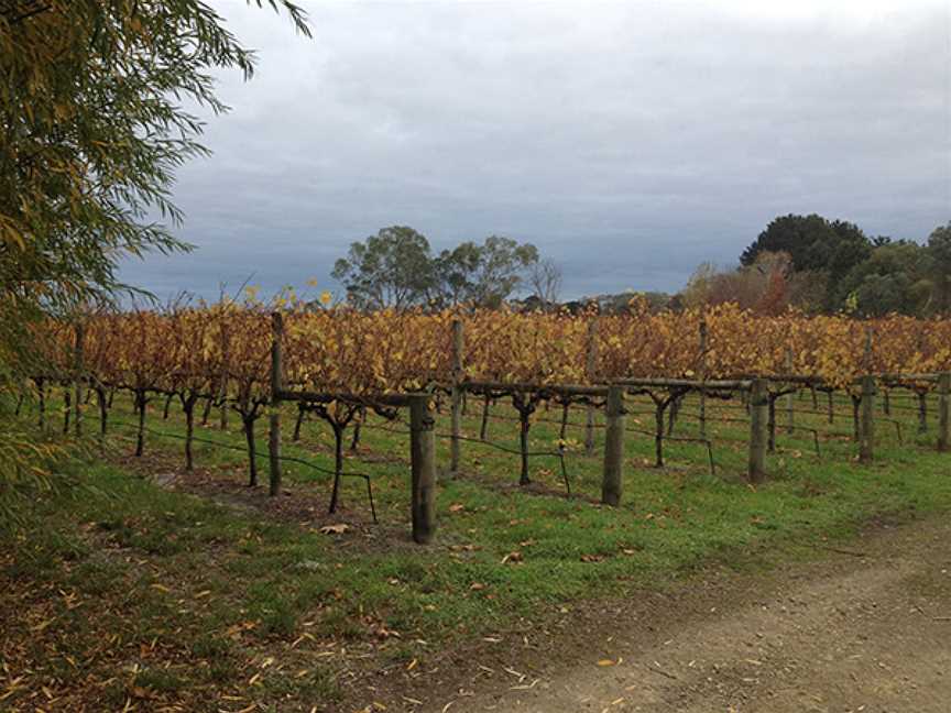 Hentyfarm Wines, Holgate, New South Wales