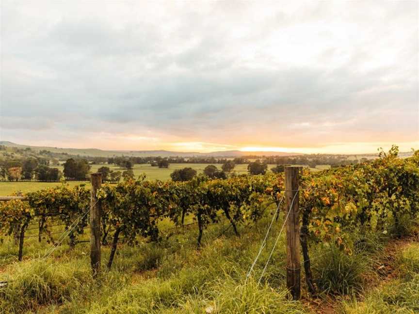 Hollydene Estate, Jerrys Plains, New South Wales