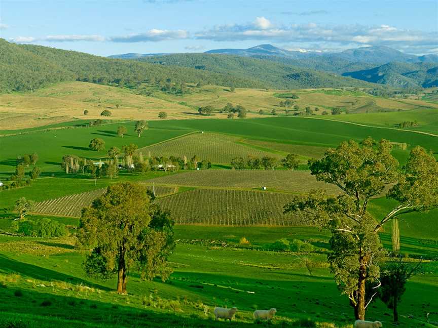 Hungerford Hill, Wineries in Pokolbin