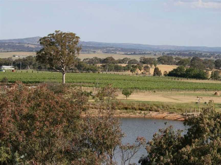 Joshua's Fault Wines, Wineries in Gundaroo