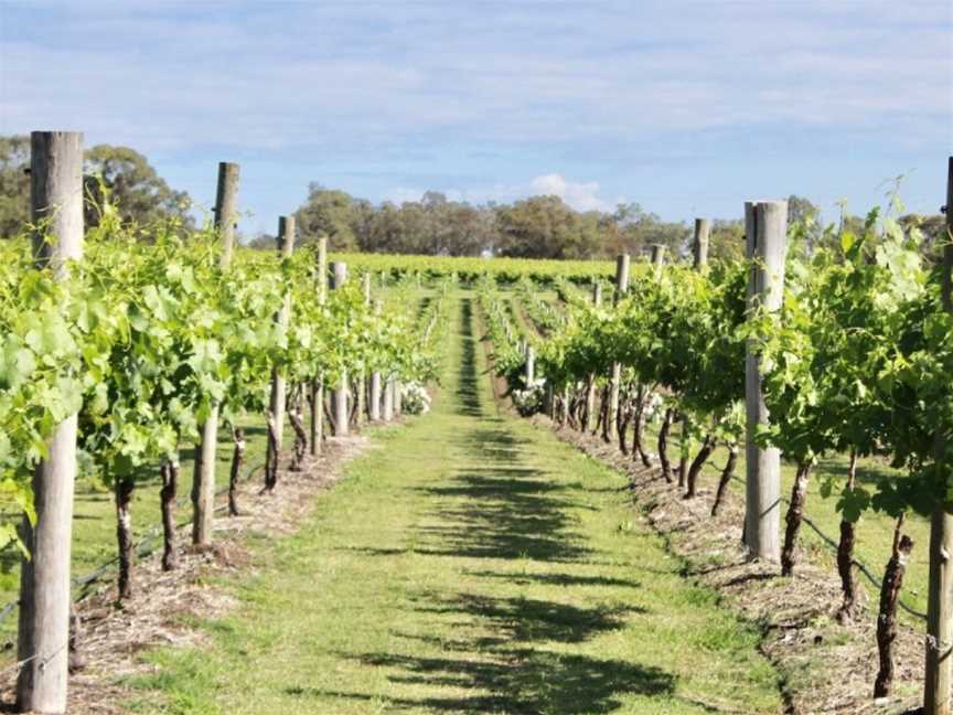 Keith Tulloch Wine, Wineries in Pokolbin