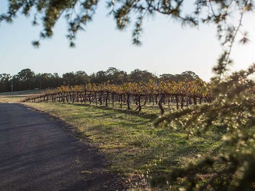 Lazy Oak Wines, Eurunderee, New South Wales