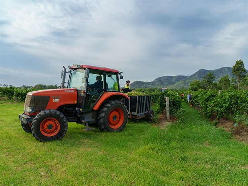 Leogate Estate Wines, Pokolbin, New South Wales