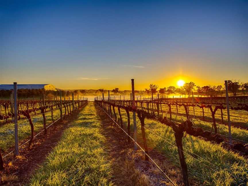 Long Rail Gully Wines, Murrumbateman, New South Wales