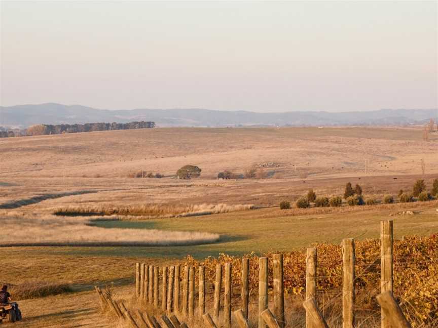 Mallaluka Wines, Yass, New South Wales