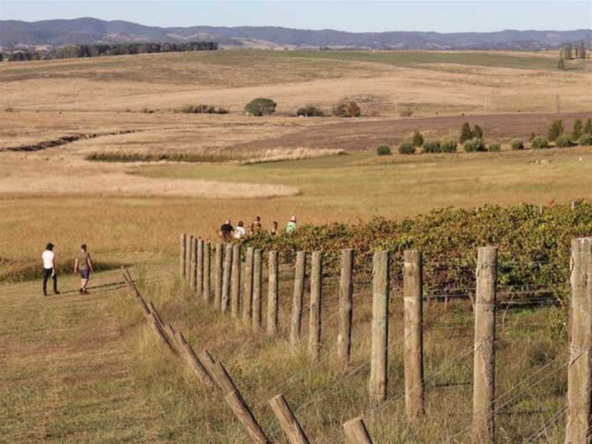 Mallaluka Wines, Yass, New South Wales