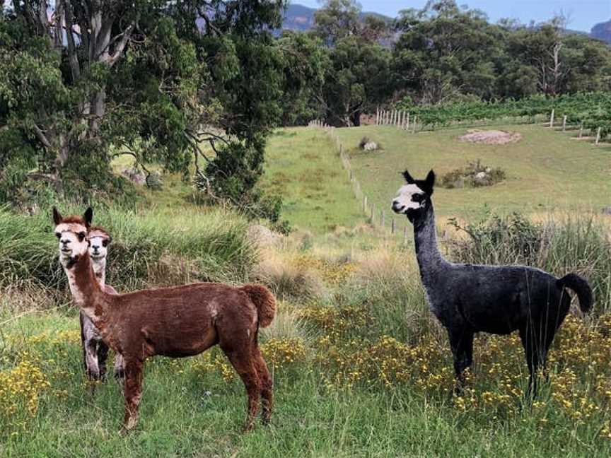 Megalong Creek Estate, Megalong Valley, New South Wales