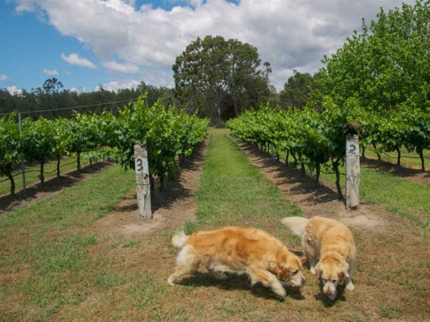 Misty Glen Wines Hunter Valley, Pokolbin, New South Wales