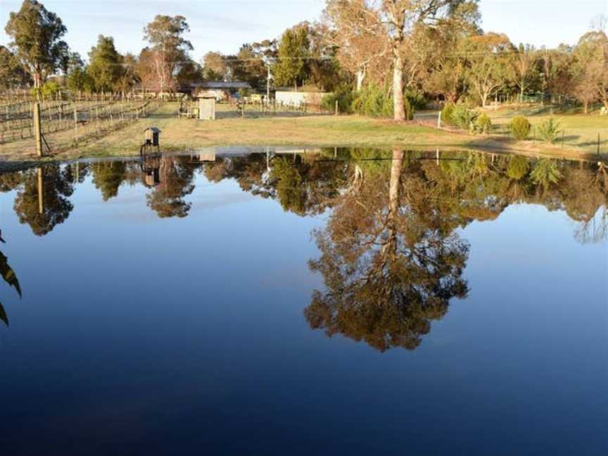 Murrumbateman Winery, Murrumbateman, New South Wales