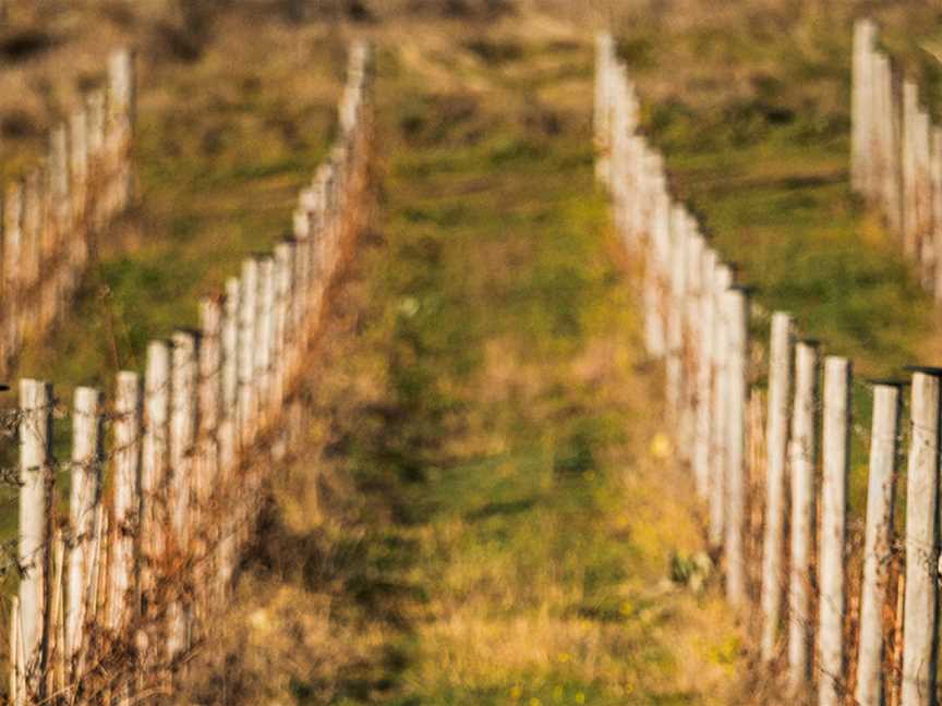 Nick O'Leary Wines, Wallaroo, New South Wales