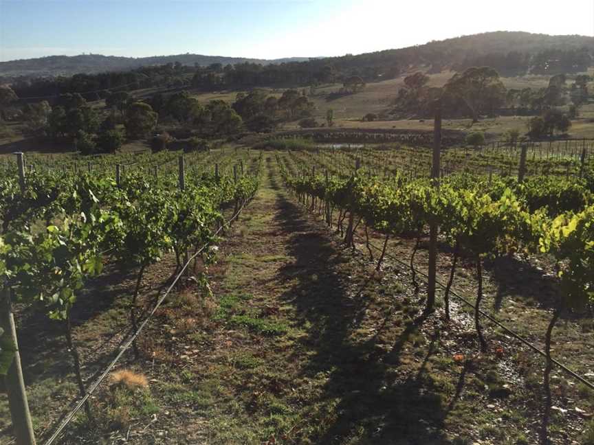 Norton Road Wines, Wamboin, New South Wales