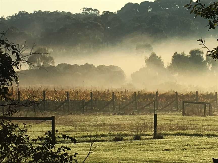 Oakvale Wines, Pokolbin, New South Wales