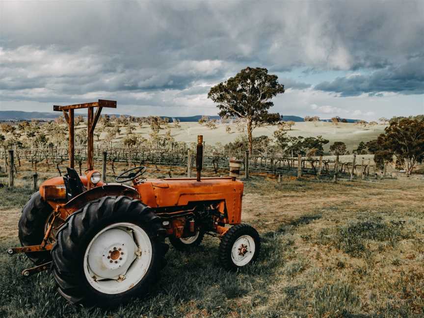 Renzaglia Wines, O'Connell, New South Wales