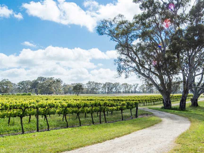 Sans Pareil Estate, Wineries in Griffith