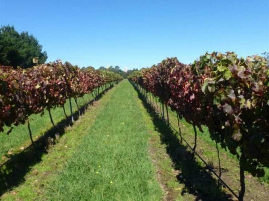 Sutton Forest Estate Wines, Sutton Forest, New South Wales