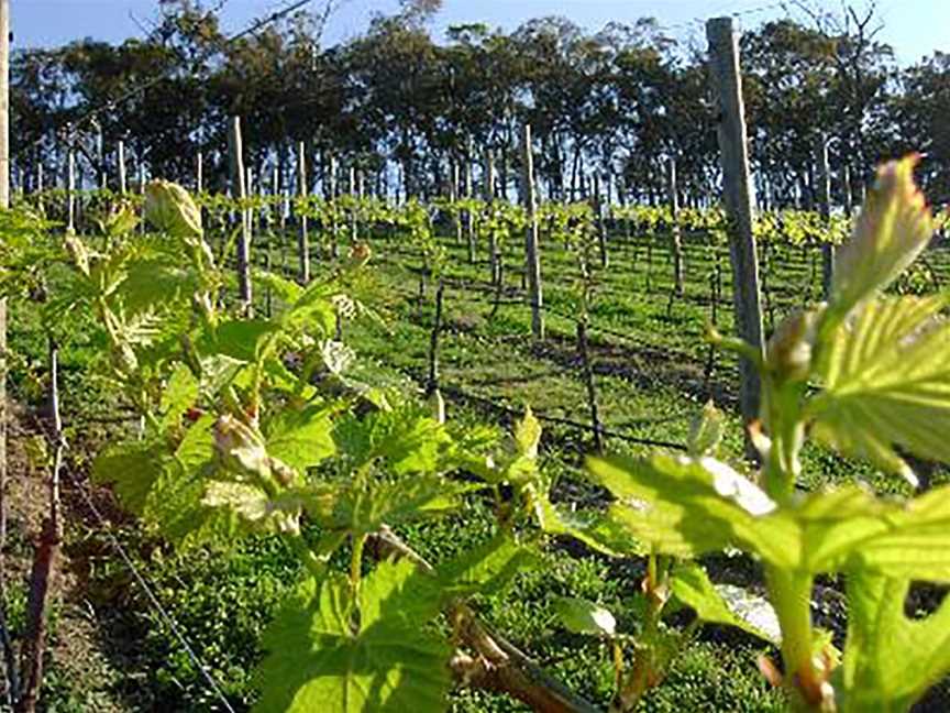 Naked Range Wines, Wineries in Smiths Gully