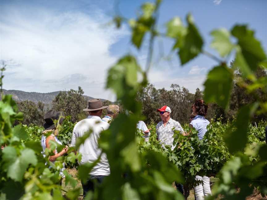 Thomas Wines, Wineries in Pokolbin