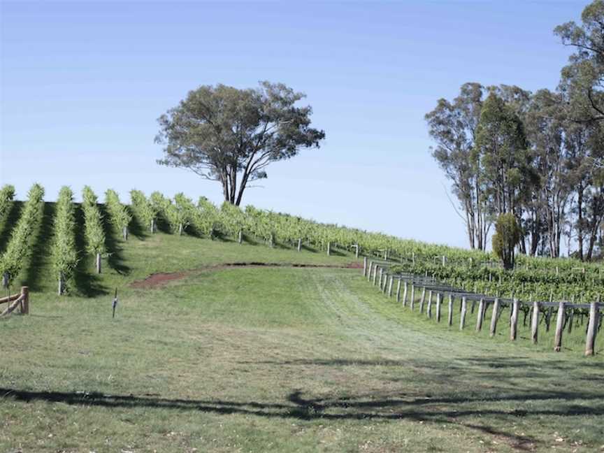 Topper's Mountain Wines, Wineries in Tingha