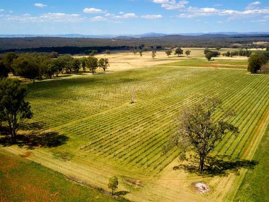 Topper's Mountain Wines, Wineries in Tingha