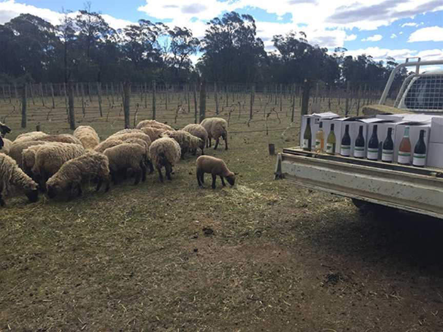 Tractorless Vineyard Cellar Door at The Mill Courtyard, Bowral, New South Wales