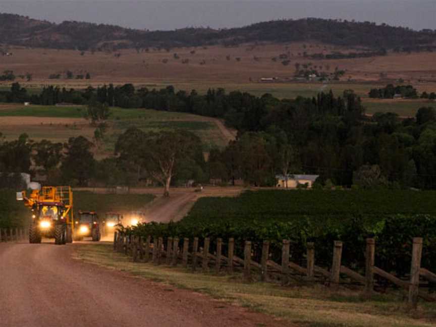 Two Rivers, Wineries in Denman