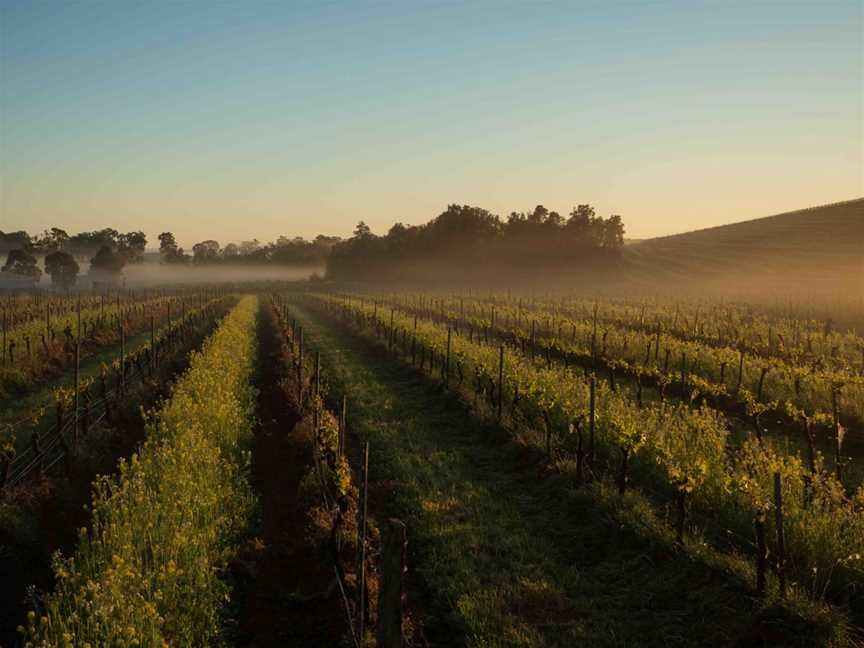 Vinden Wines, Pokolbin, New South Wales