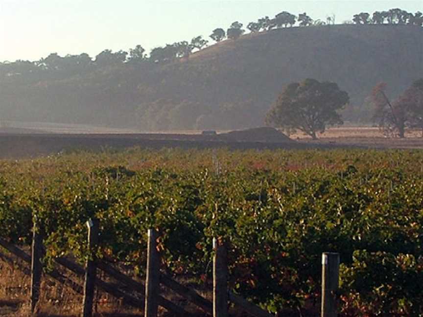 Wilksch Estate Wines, Culcairn, New South Wales