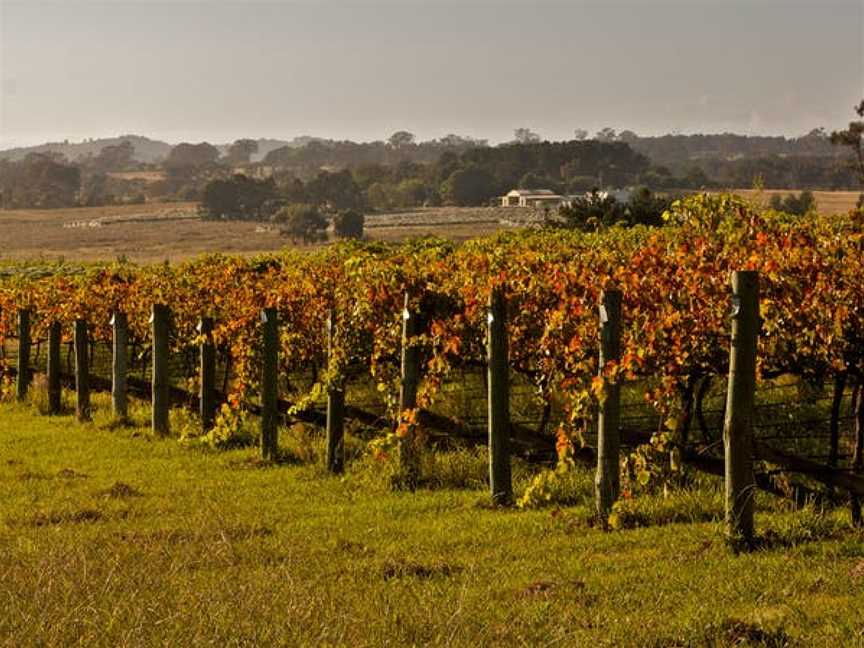 Wimbaliri Wines, Wineries in Murrumbateman