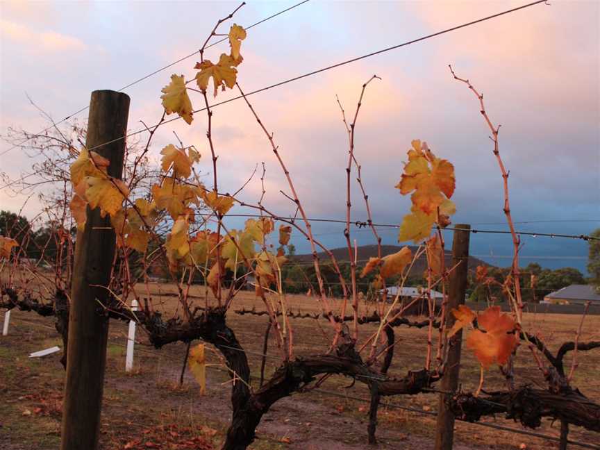 Meehan Vineyard, Wineries in Heathcote