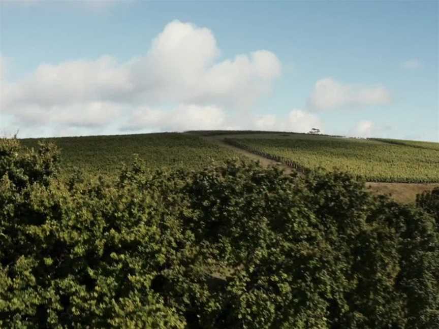 Delamere Vineyards, Pipers Brook, Tasmania