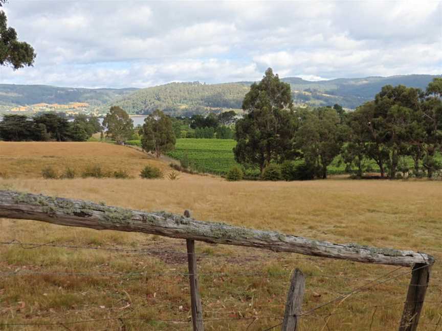 Elsewhere Vineyard, Wineries in Glaziers Bay