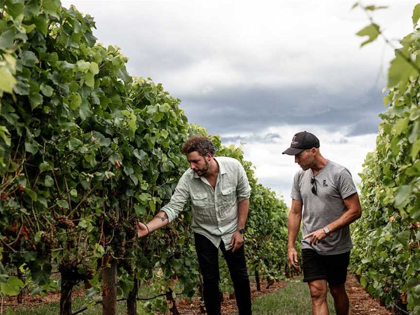 Ghost Rock Vineyard, Northdown, Tasmania