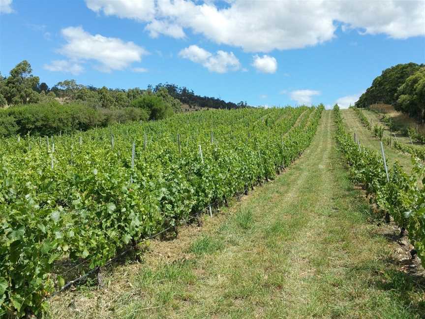 Glaetzer-Dixon Family Winemakers, Hobart, Tasmania