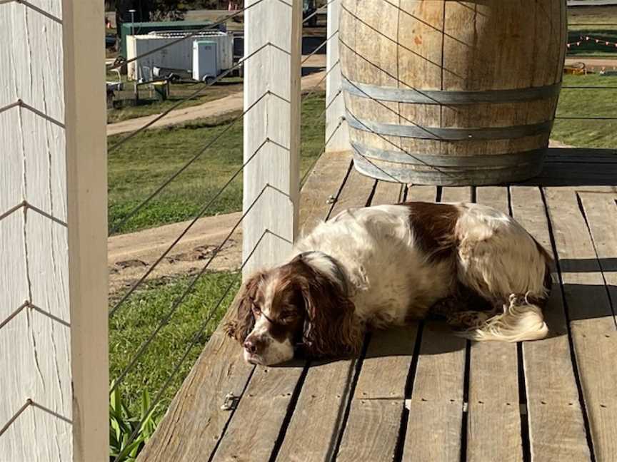 Milton Vineyard, Swansea, Tasmania